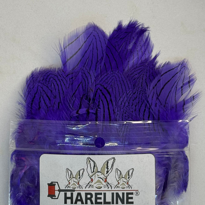 Purple feathers coming out of plastic product bag