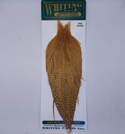 Barred ginger-brown fly fishing hackle cape with dense tapered fibers on a card