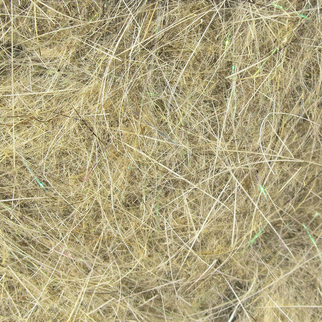 Light tan dubbing fibers, dense