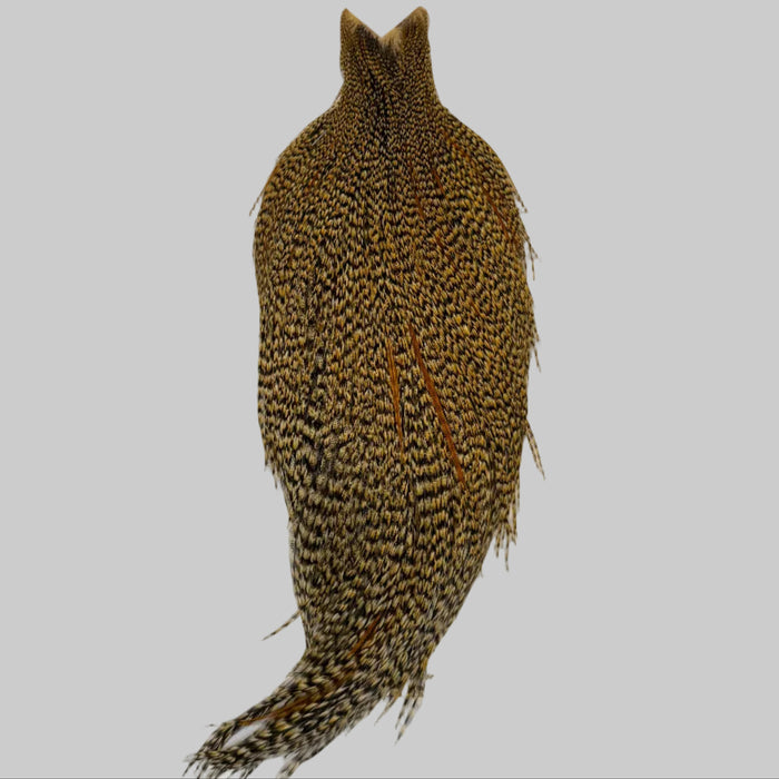 Whiting Farms Heritage Hackle Cape - Grade 1 - Rangeley Region