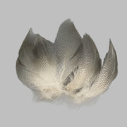 Wapsi mallard barred flank feathers, large, gray and white tuft