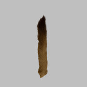 Tan calftail/kiptail tail with darkened tip and pointed end