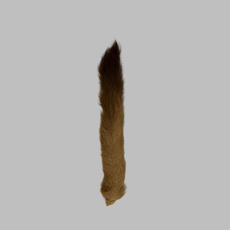 Tan calftail/kiptail tail with darkened tip and pointed end