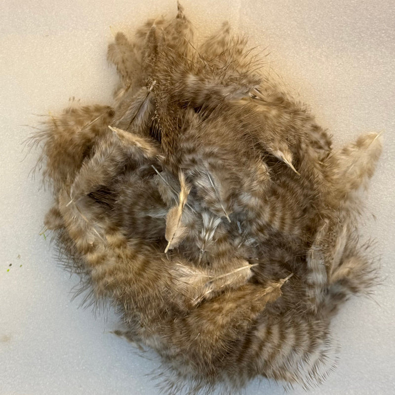 Marabou feathers in natural taupe and gray