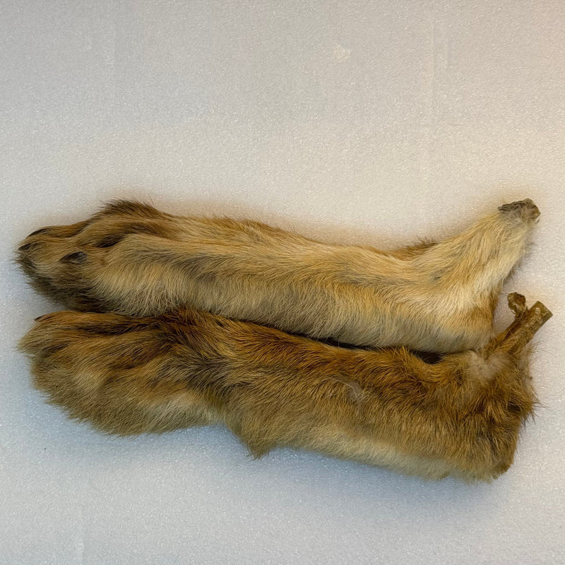 Hare-fur feet with long bodies; olive-tan and brown mottled fur