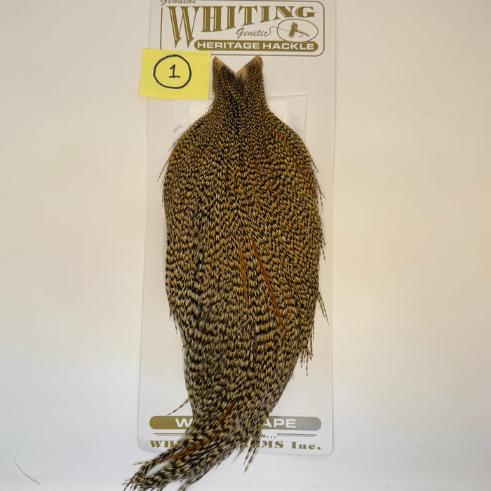 Whiting Farms Heritage Hackle Cape - Grade 1 - Rangeley Region