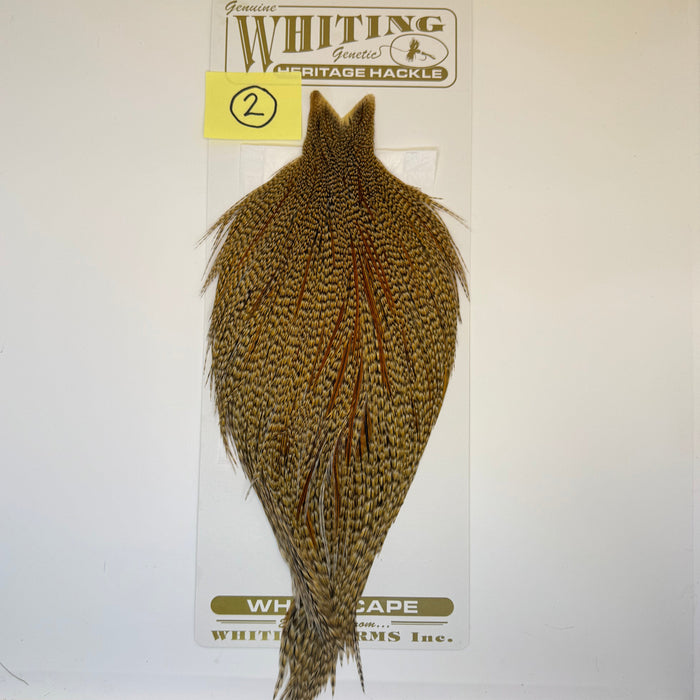 Whiting Farms Heritage Hackle Cape - Grade 1 - Rangeley Region