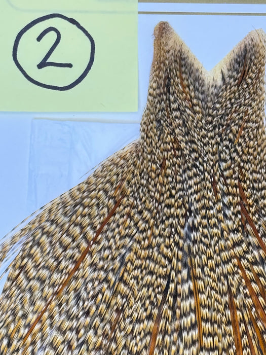 Whiting Farms Heritage Hackle Cape - Grade 1 - Rangeley Region