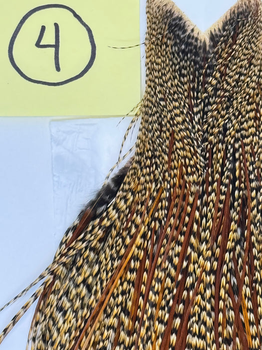 Whiting Farms Heritage Hackle Cape - Grade 1 - Rangeley Region