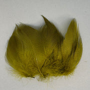 Wapsi mallard barred flank feathers, large, olive green tuft