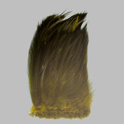 Strung neck hackle feathers, olive green tuft with yellow tips