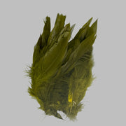 Olive green strung schlappen feathers with pointed tips