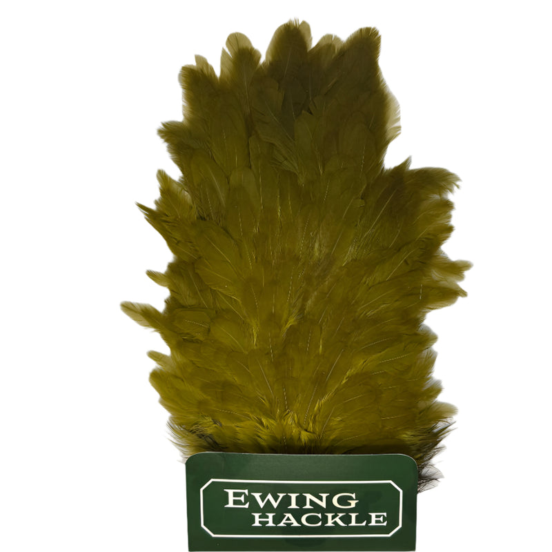 Ewing hen saddle olive green feathers cluster