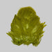 Large patch of olive soft hackle feathers