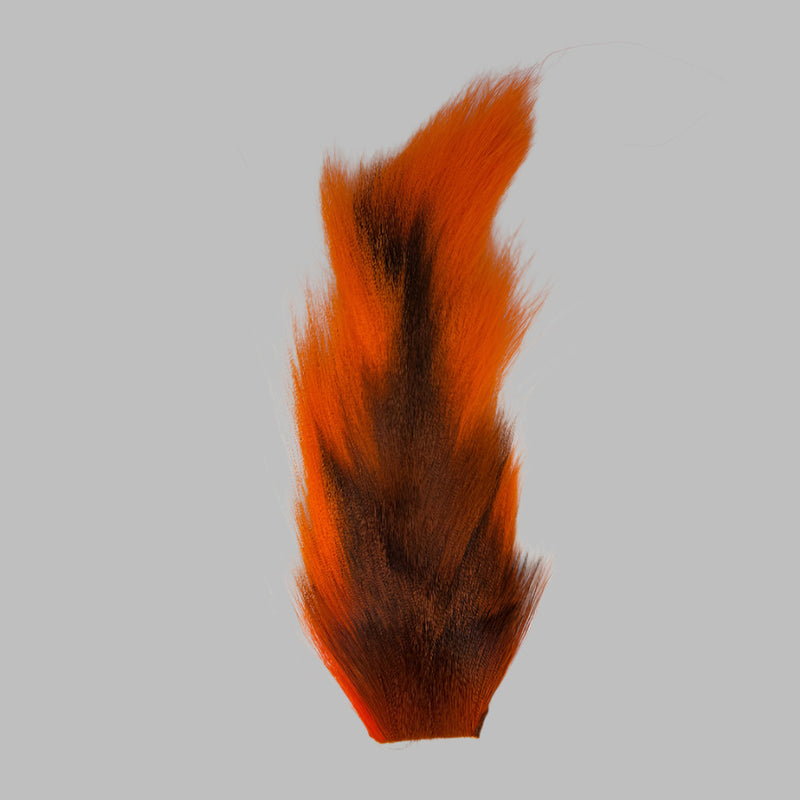 Large bucktail tuft, orange