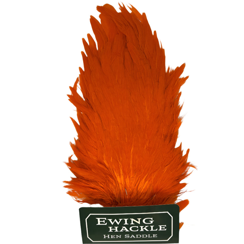 Ewing hen saddle orange feathers cluster