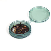 Shallow fly puck with teal lid and compartments, holding assorted fly fishing lures
