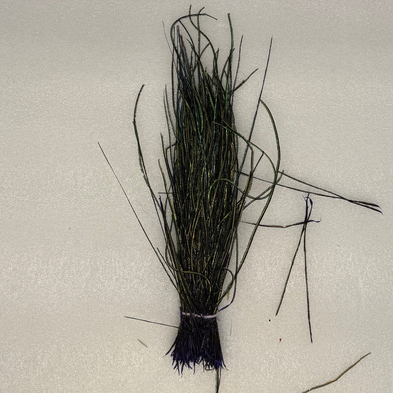 Peacock herl feather bundle, dark green fibers with dark blue tied base