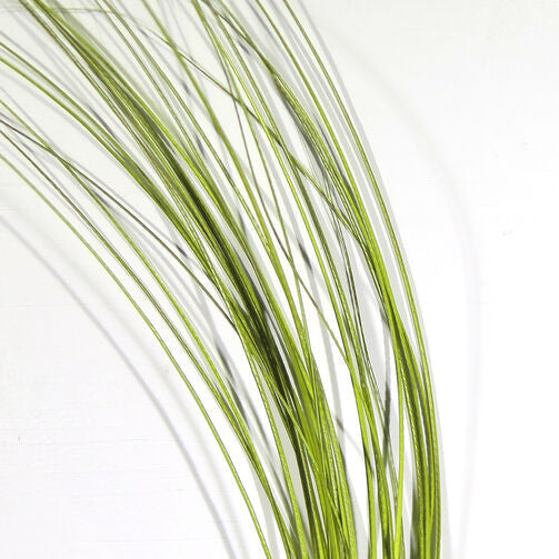 Quill body fly with green feather fibers, long bundled strands