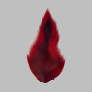 Large bucktail tuft, red