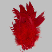 Red strung schlappen feathers with long pointed tips