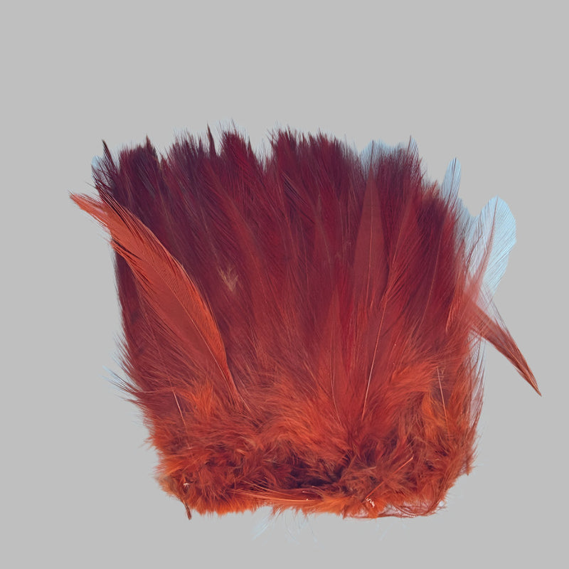 Strung neck hackle feathers, orange-red with blue accents on tips