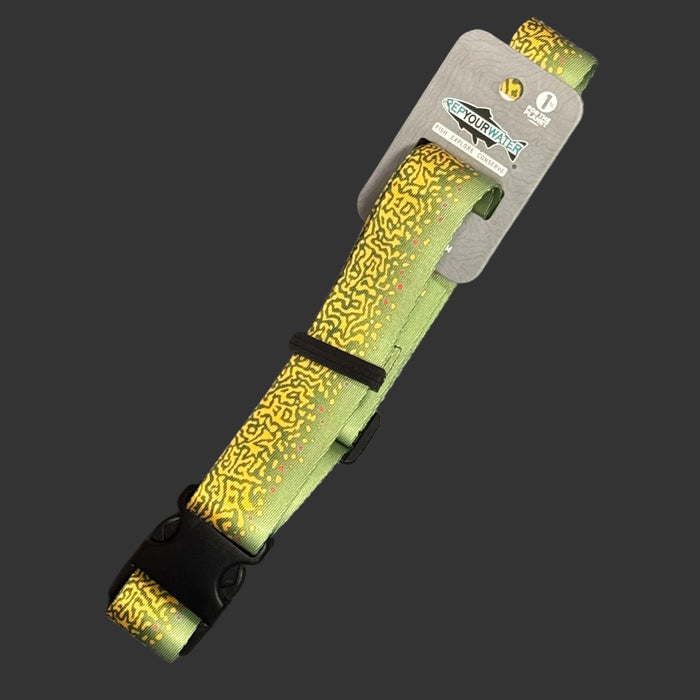 Brook Trout Skin wading belt on display card