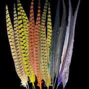 Pheasant tail feathers bundle with yellow, orange, green, and gray bars