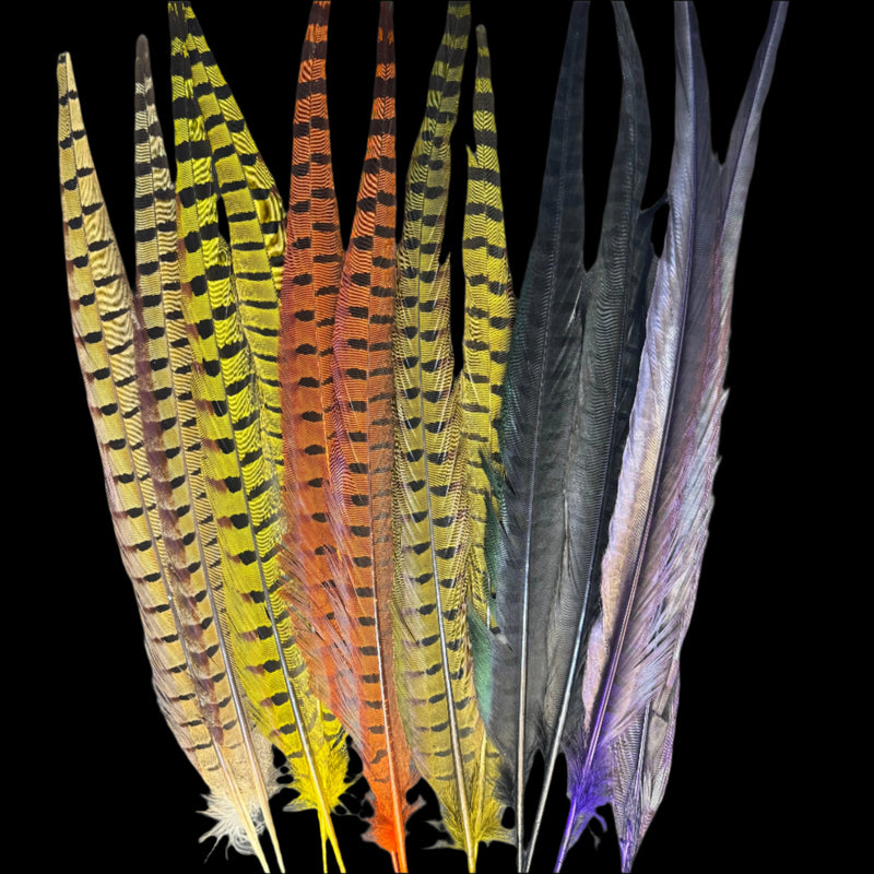 Pheasant tail feathers bundle with yellow, orange, green, and gray bars
