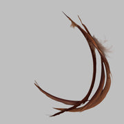 Biot feathers in reddish brown