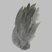 Gray strung schlappen feathers with pointed tips