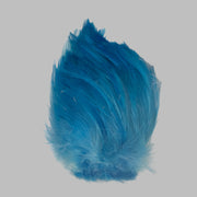 Strung neck hackle feathers, bright blue tuft