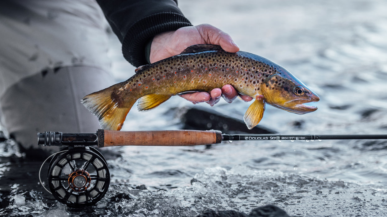 Douglas Sky G Fly Rod 8'6
