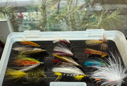 Fly fishing lure assortment in clear plastic tray with colorful feather flies