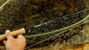 Fly rod with cork handle, dark patterned blank and gold wrapping at joints