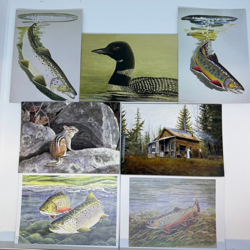 Gene Bahr note card set showing wildlife scenes: fish, bird, cabin, shoreline