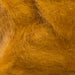 Close up of squirrel belly colored dubbing
