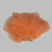 Close up of Strung Marabou PEACH MB181