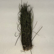 Peacock herl feather bundle, dark green fibers with tied base