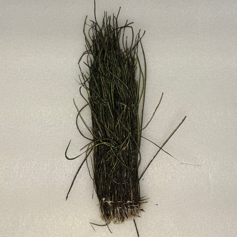Peacock herl feather bundle, dark green fibers with tied base