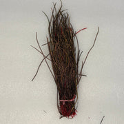 Peacock herl feather bundle, brown fibers with red tied base
