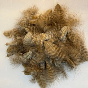 Marabou feathers in light tan and brown