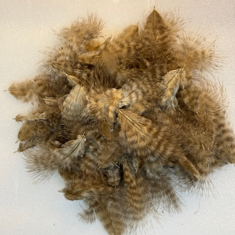 Marabou feathers in light tan and brown