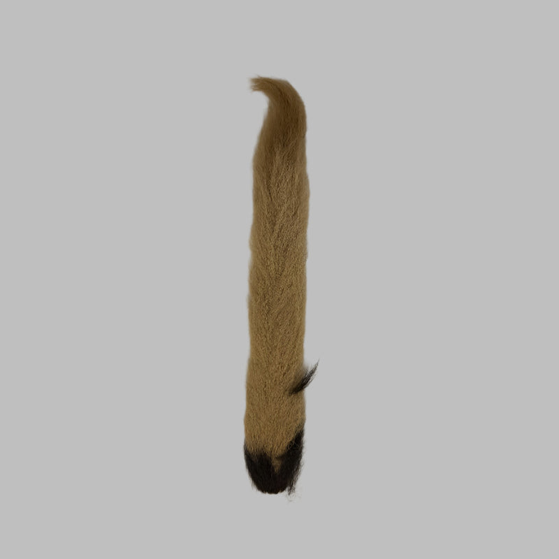 Feather tail fibers, tan with black tip