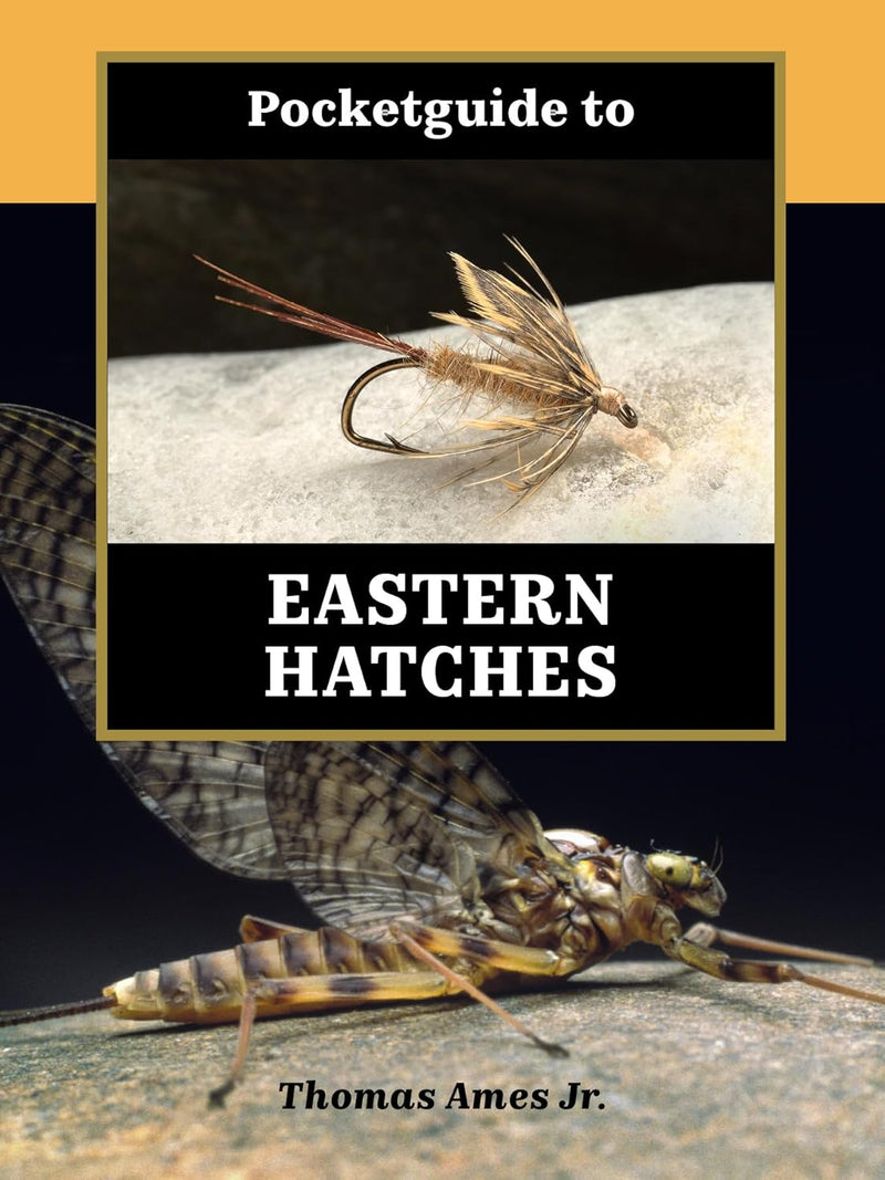 Pocketguide book cover: Eastern Hatches fly illustration, Thomas Ames Jr. text