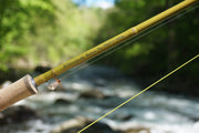 Fishing rod close-up, gold blank with printed Douglas and fine line guides