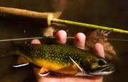 Fly fishing rod held with a fish and line during landing