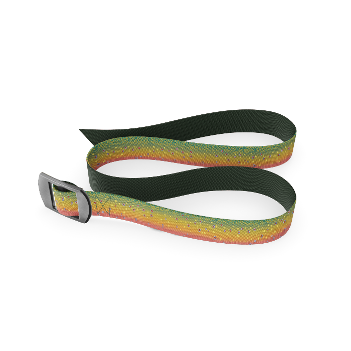 Reversible belt with forest green strap and multicolor fish-pattern side, buckle visible