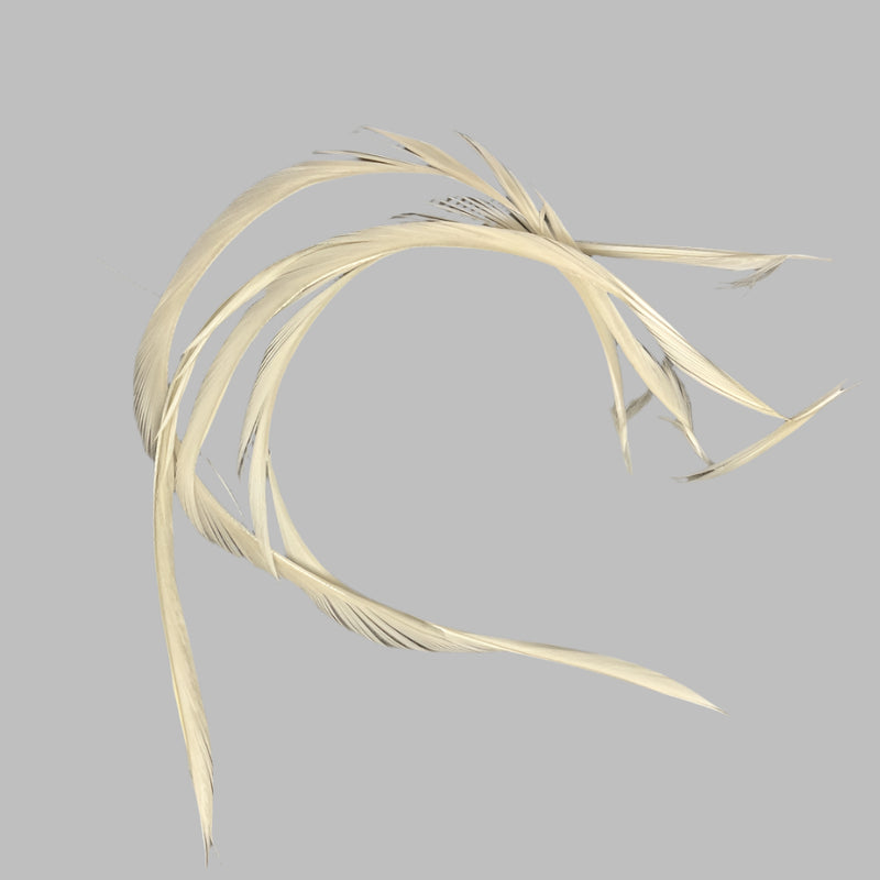 Biot feathers in light cream color