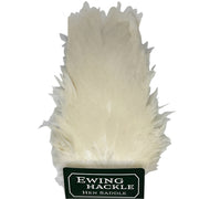 Ewing hen saddle white feathers cluster